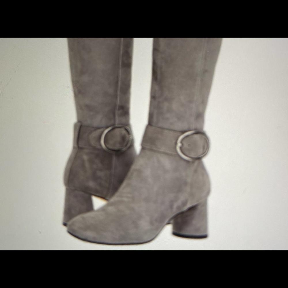 NWT Donald Pliner Caye Suede High Boot